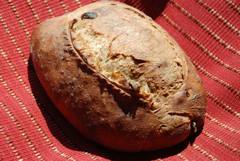 Multigrain Cranberry Sourdough, Challah, Etc. The Fresh Loaf